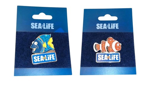Sealife centre clown fish - 2,