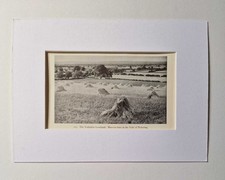 STREET Harvest in the Vale of