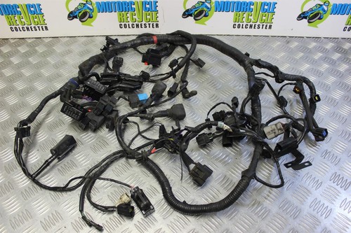 Triumph tiger 800 xrx wiring - triumph,