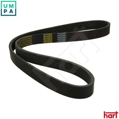 Vribbed belt 334 - for, vw