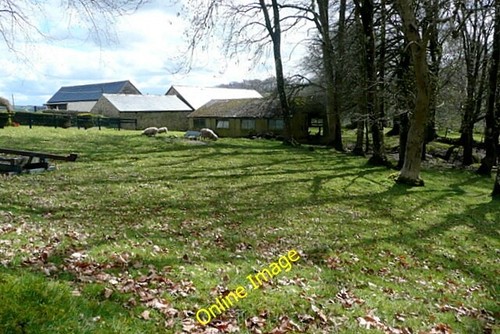 Photo 6x4 smallholding - photo, at