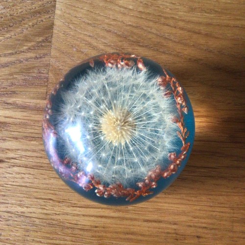 Vintage dandelion puff - vintage,