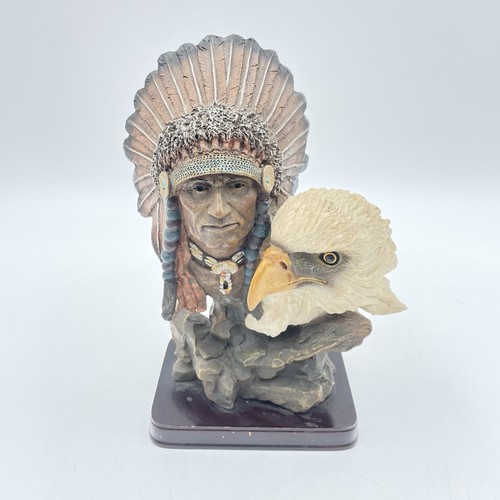 Native american indian chief - indian,