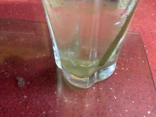 Russian comfrey  plant cutting