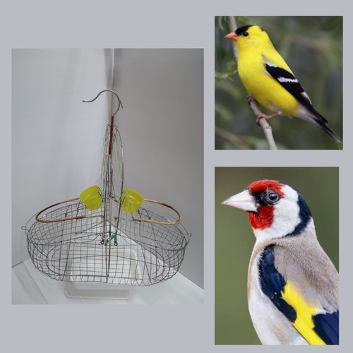 Small bird steel double - , action