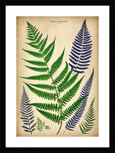 Sophisticated fern fronds - sophisticated,