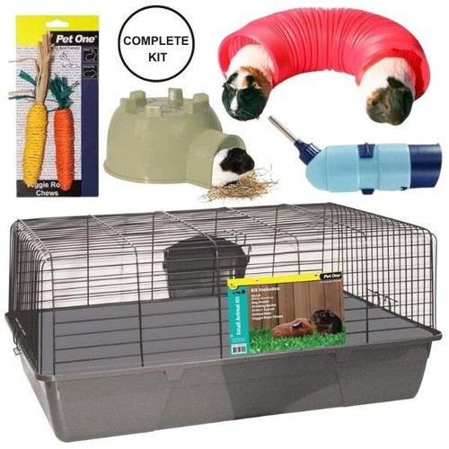 Rabbit guinea pig - pig, cage
