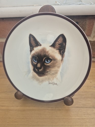 Vintage coalport siamese cat - vintage,