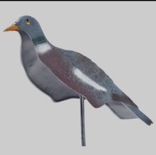 Sport Plast half Wood Pigeon