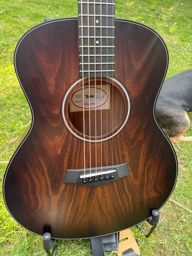 Taylor mini koa plus - gs,