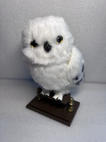 Harry potter hedwig owl - harry,