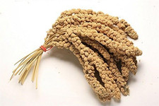 1KG Premium Millet Spray