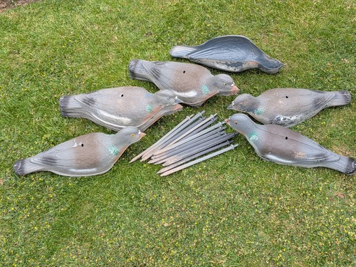 Decoy half shell - half, plastic