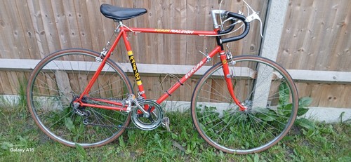 Raleigh team europa vintage - raleigh,