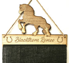 Gypsy Cob Rosette Holder -