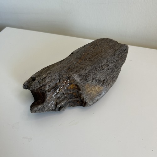 Chunky driftwood piece - 1, –