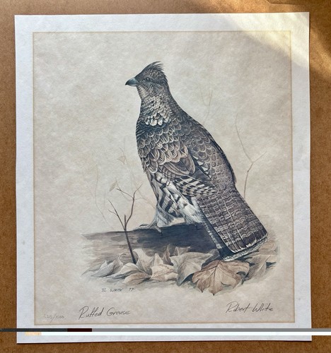 Limited edition 1970s signed
