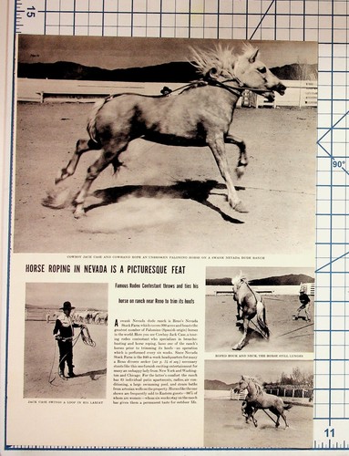 1940s nevada dude ranch - ranch, horse