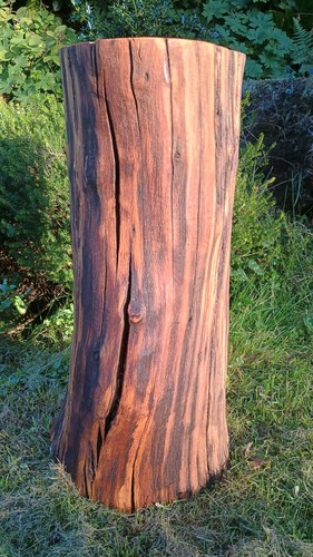 Rustic tree stump natural - , wood