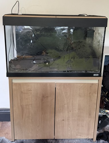Fish tank with - with, affect