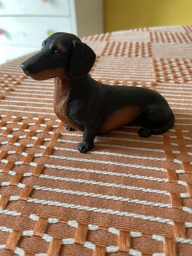 Stunning black and tan - black,