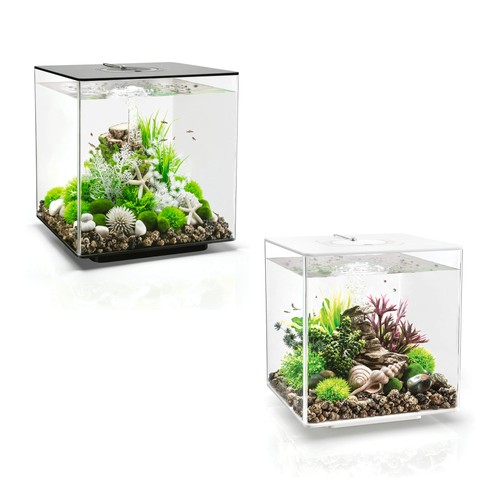 Biorb cube acrylic aquarium - biorb,