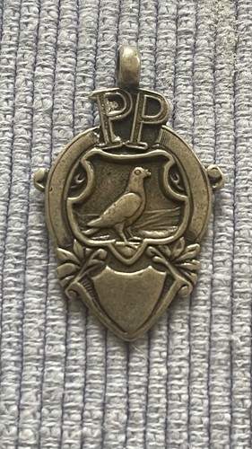 Sterling silver pigeon - silver,