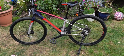 Wiggins chartres kids - wiggins,