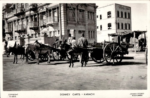 Pakistan karachi donkey carts - donkey,