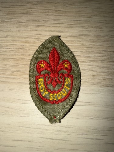 Boy scouts tenderfoot badge - boy,