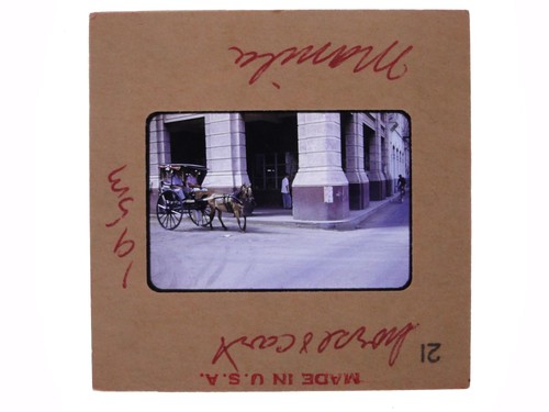 Horse cart carriage street - cart,
