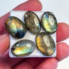 Labradorite Autumn Gold Oval 22x15x5mm x 5 loose Cabochon Gemstone LAB045