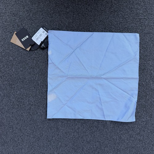 Hugo boss light blue silk - hugo,