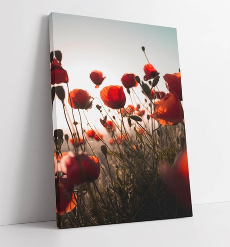 Canvas wall art print - canvas,