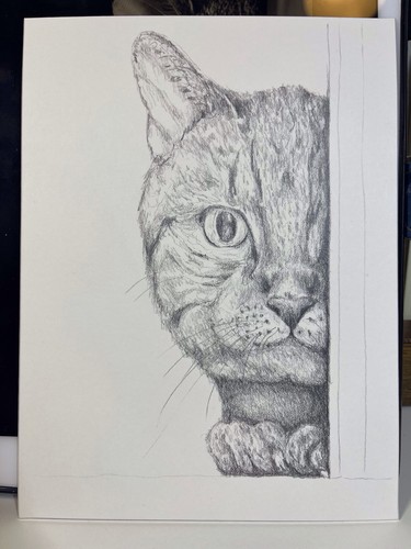 Original pencil sketch - original,