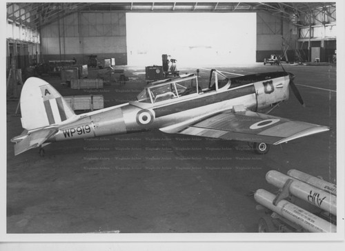 Havilland chipmunk - de,