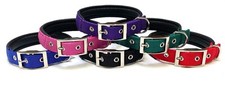 Soft Padded Dog Collar