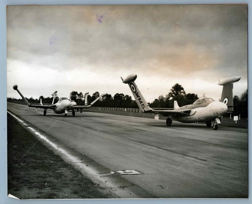 Havilland sea venom - dh,