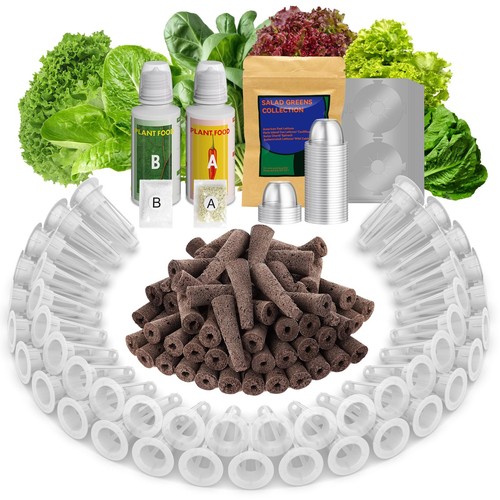 Salad greens seed - greens, for