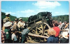 Frontier Town NY Horse