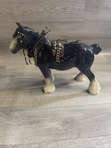 Large black shire horse - shire,