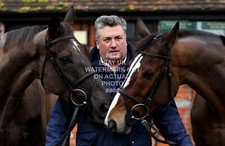 Denman kauto star paul - kauto,