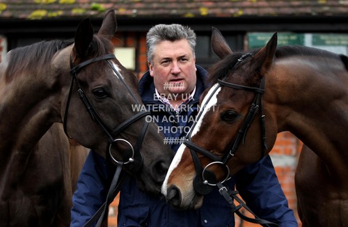 Denman kauto star paul - star,