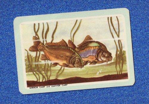 Vintage woolworths fish - fish, swap