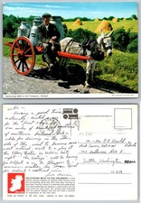 Vintage John Hinde Postcard