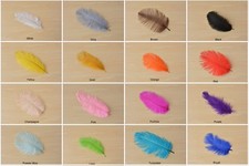 Quality Ostrich Feather Plume