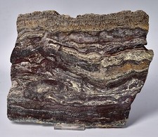 MICROBIAL MAT, Dresser Fmt