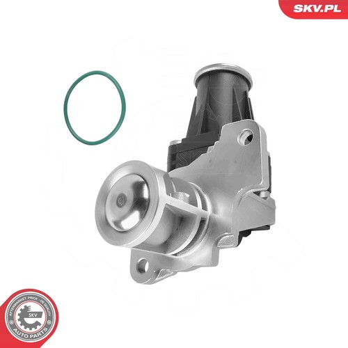 Skv egr valve - skv, for