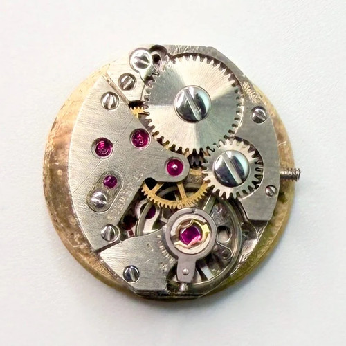 Bernex watch movement - watch,