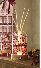 NEXT Festive Spice Light Up